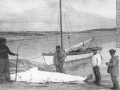 White whale caught by Inuits, QC (?), about 1910