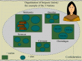 Organization of Five Iroquois Nations