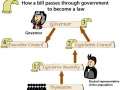 How a bill passes through government