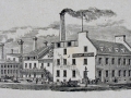 Taylors Brewery