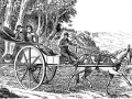 A carriage