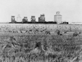 Field of wheat sheaves near six silos, Champion, Alberta, 1930