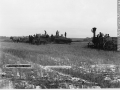 Steam threshing, Portage La Prairie, Manitoba, 1887