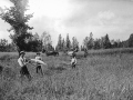 Farming on the Gatineau, 1895