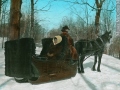 Sleigh pulled by a horse, 1910...