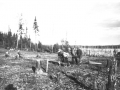 Clearing the land in Abitibi (1928)