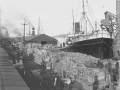 Unloading S.S Durham City steamship, Montreal,  1896