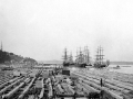 Wood exported from Port of Quebec 1891