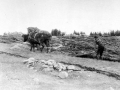 Agricultural work. Baie Saint-Paul 1929