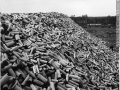 Piles of pulpwood, Daley's Siding, QC, 1916