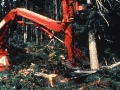 A harvester cutting down trees