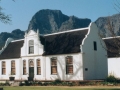 Vineyard in South Africa, 1991